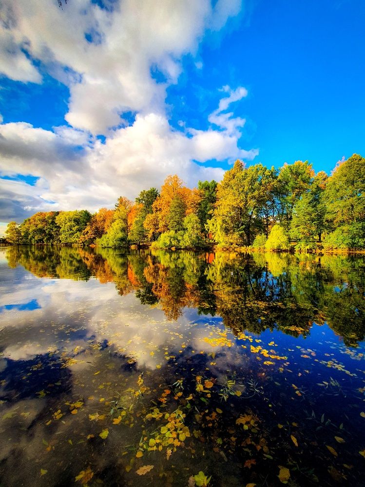 Отражение осени.