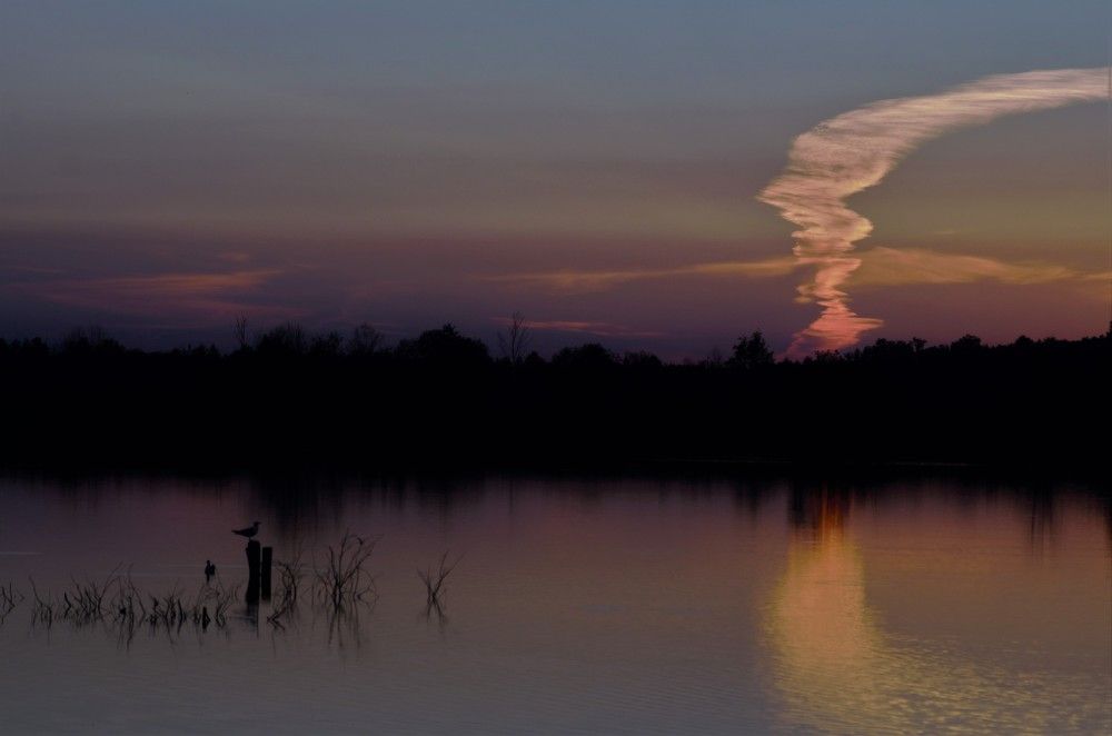 Photograph by Igor Bastrygin