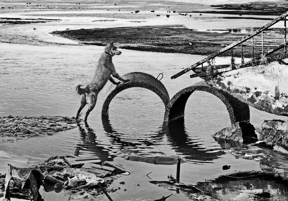 Photograph by Лидия Ушакова