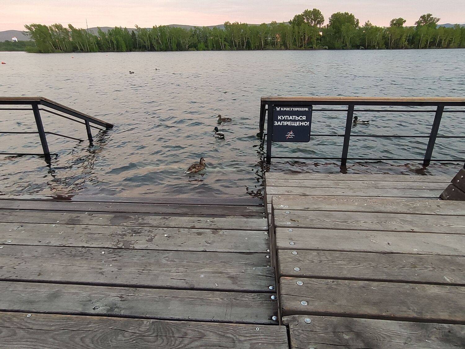 Photo #8430493