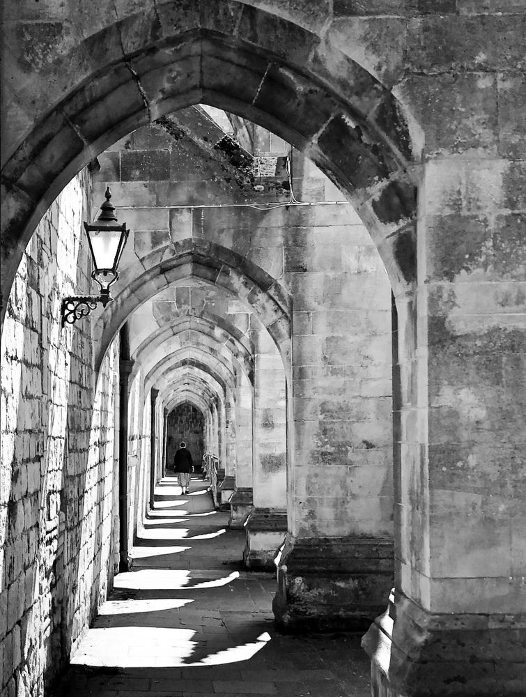 Photograph by Zinaida Sassarini