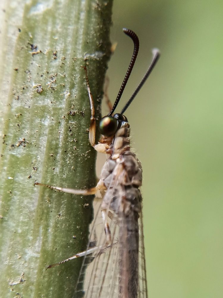 Photograph by Kichu Sachu