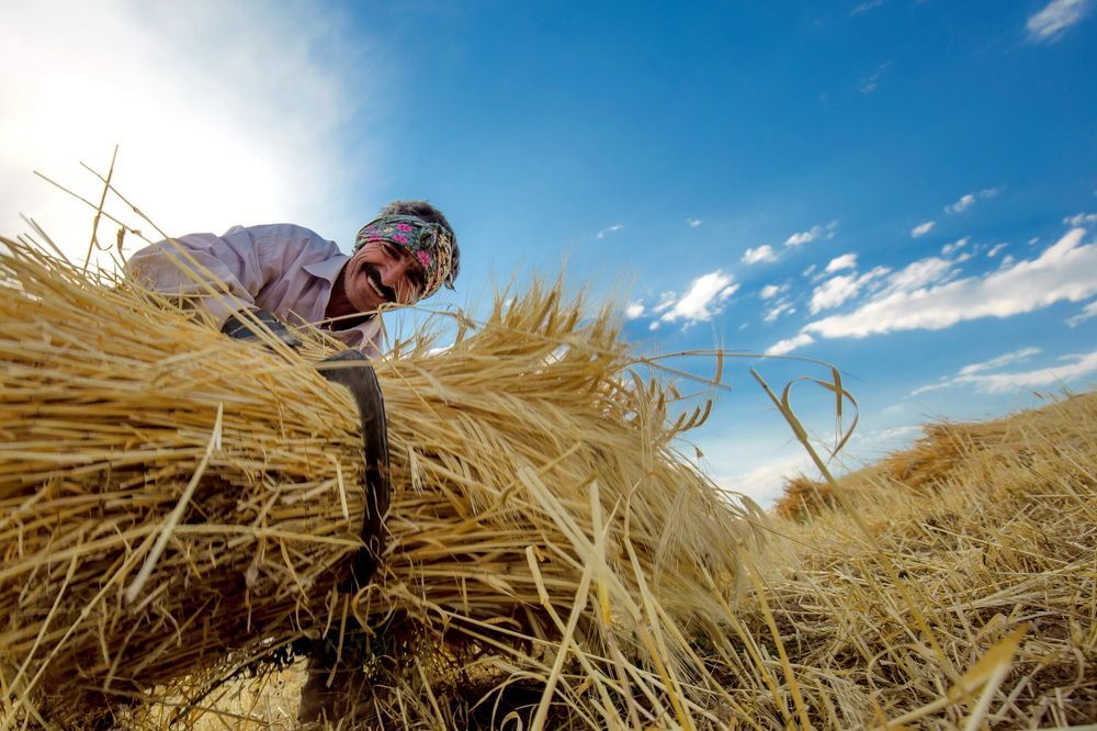 Photograph by mohammadreza behmaram