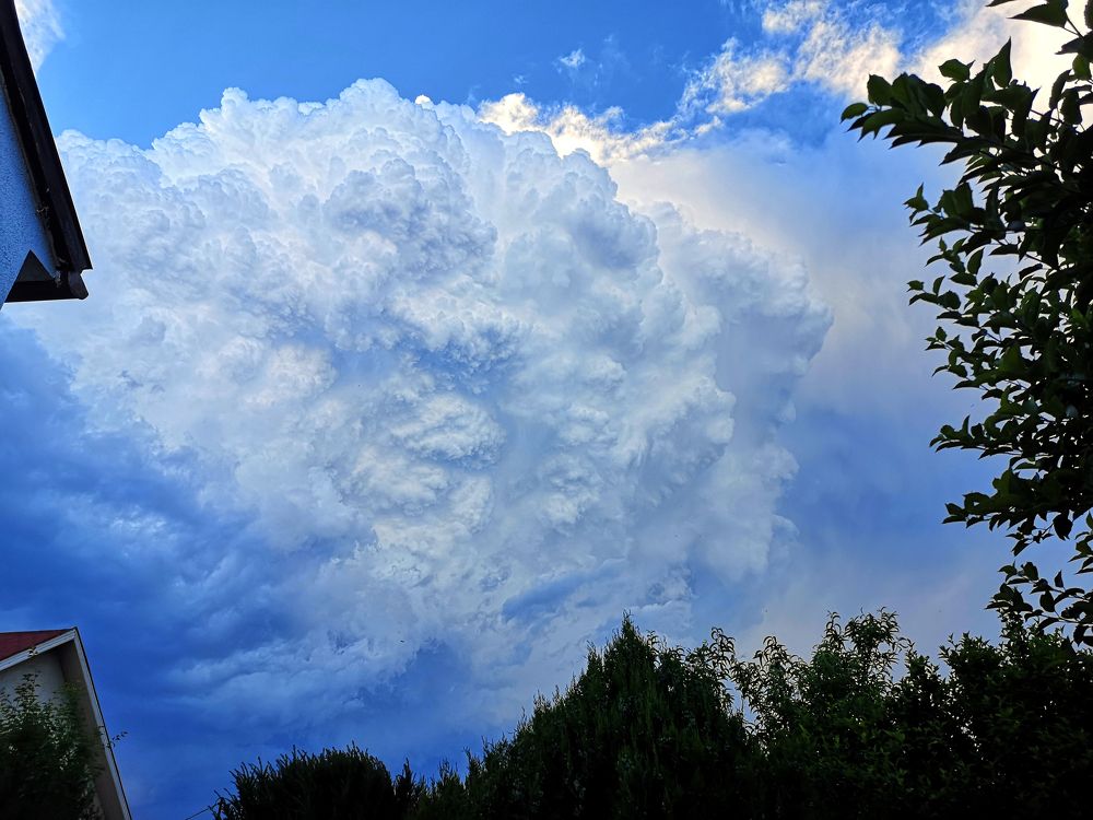 Photograph by Marina Razheva