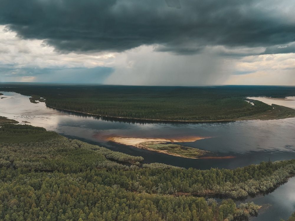 Грибной ямальский дождь