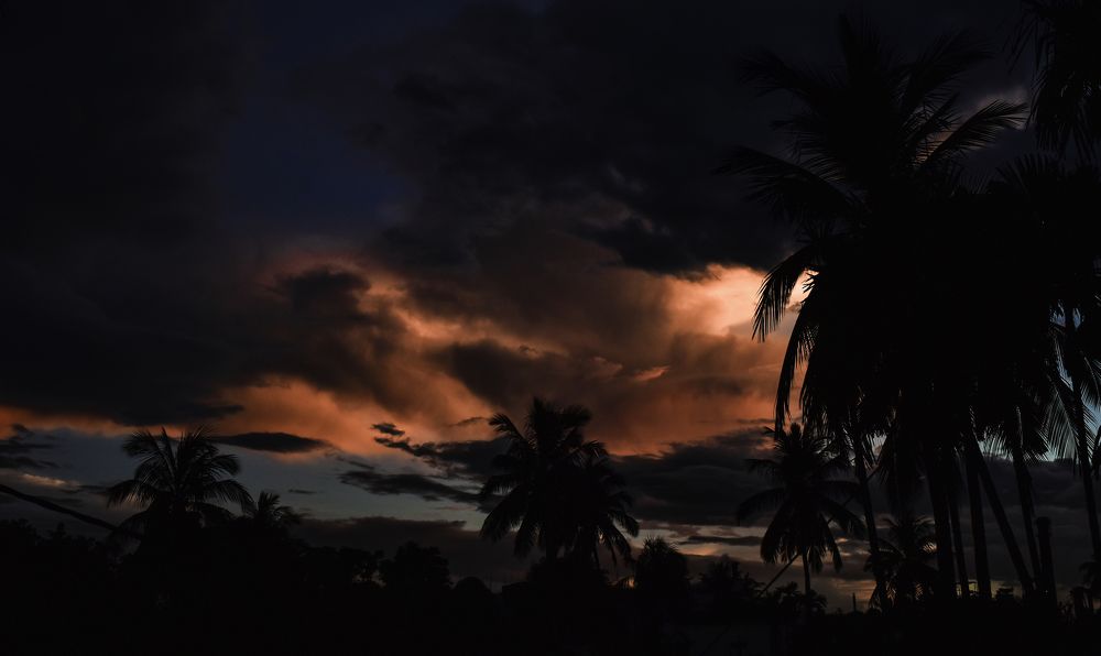 Photograph by Subhadip Kanjilal