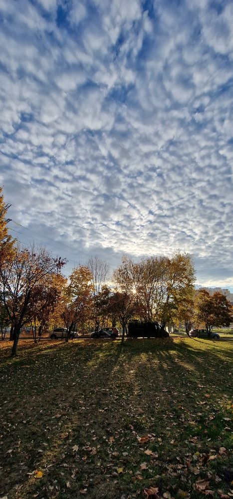 Фотография автора Ольга
