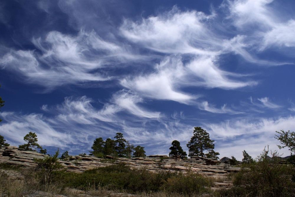 Фотография автора Татьяна Добровольская