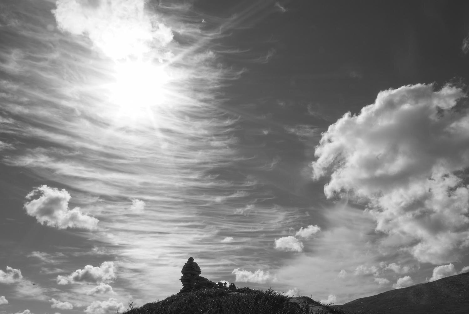 Photo #8430618