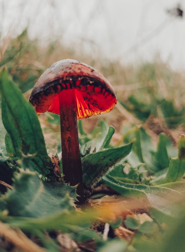 Фотография автора Elena Samusieva