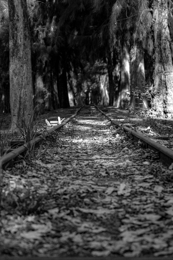 Фотография автора Francisco Sanchez