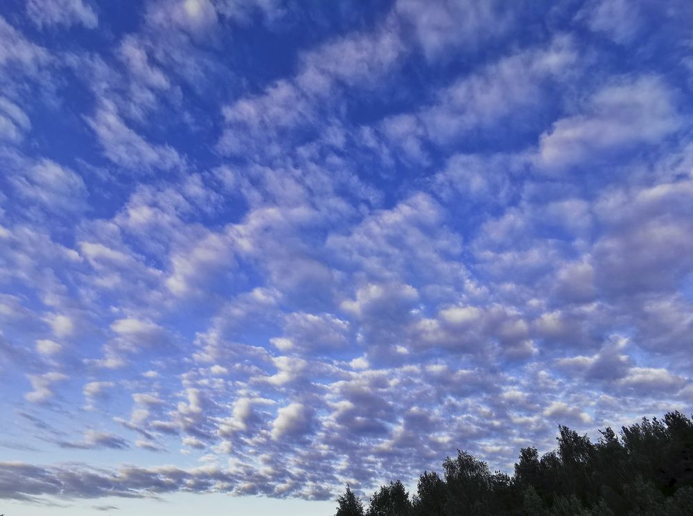 Photograph by Ева Мельникова