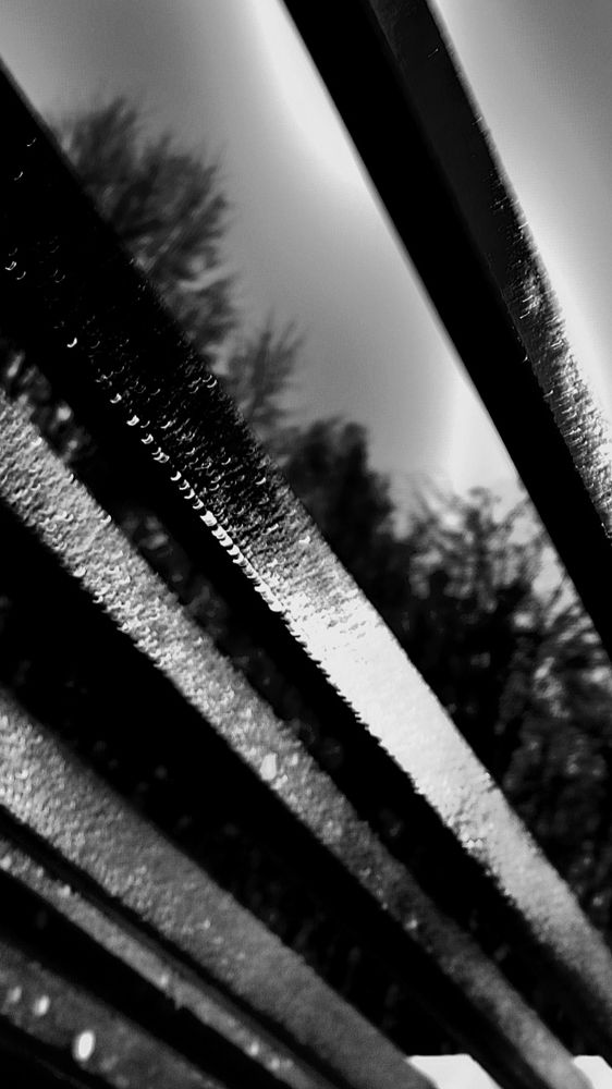 Photograph by Диана Грэске