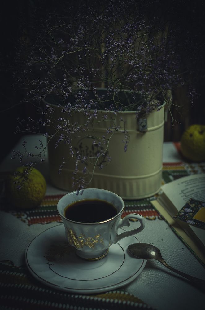 Фотография автора Романова Инга