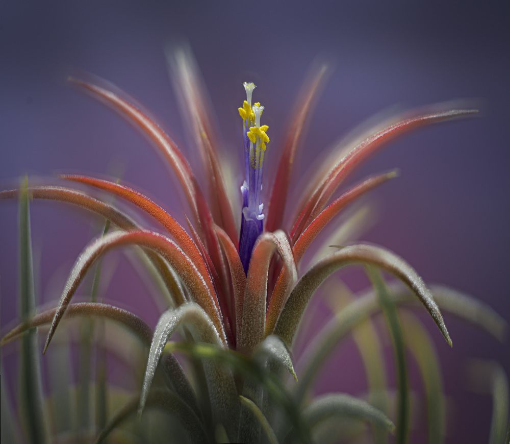 Фотография автора Черновол Валентин