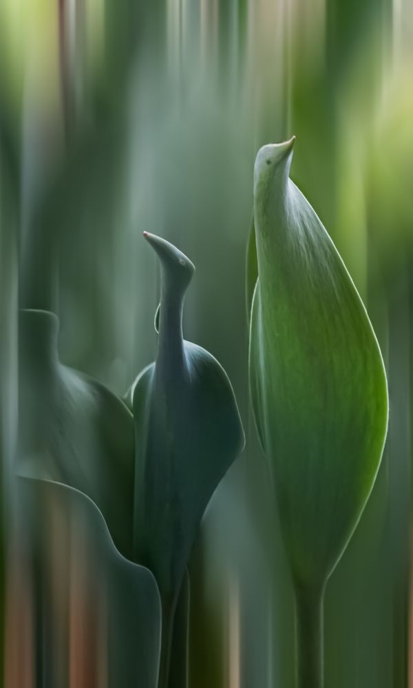 Фотография автора Черновол Валентин