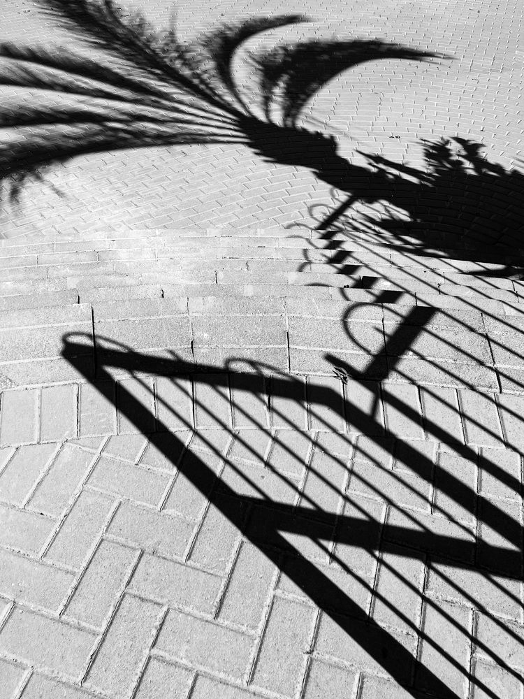 Photograph by Svetlana Garifullina