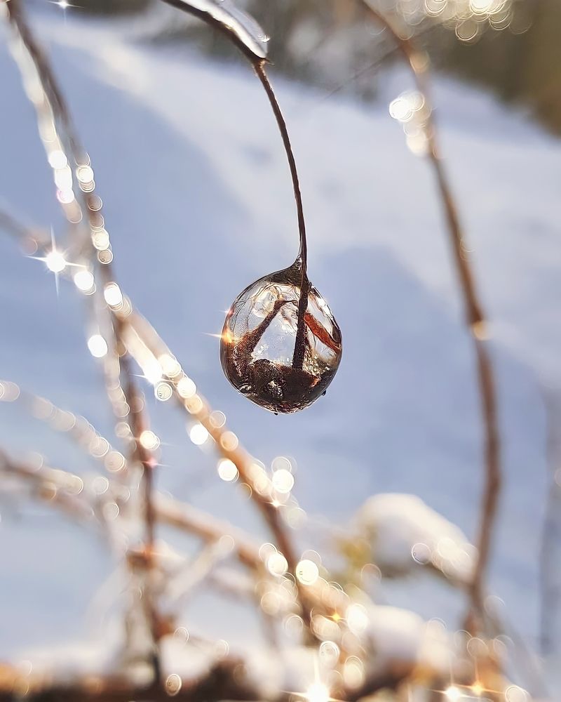 Photograph by Юлия Еганова