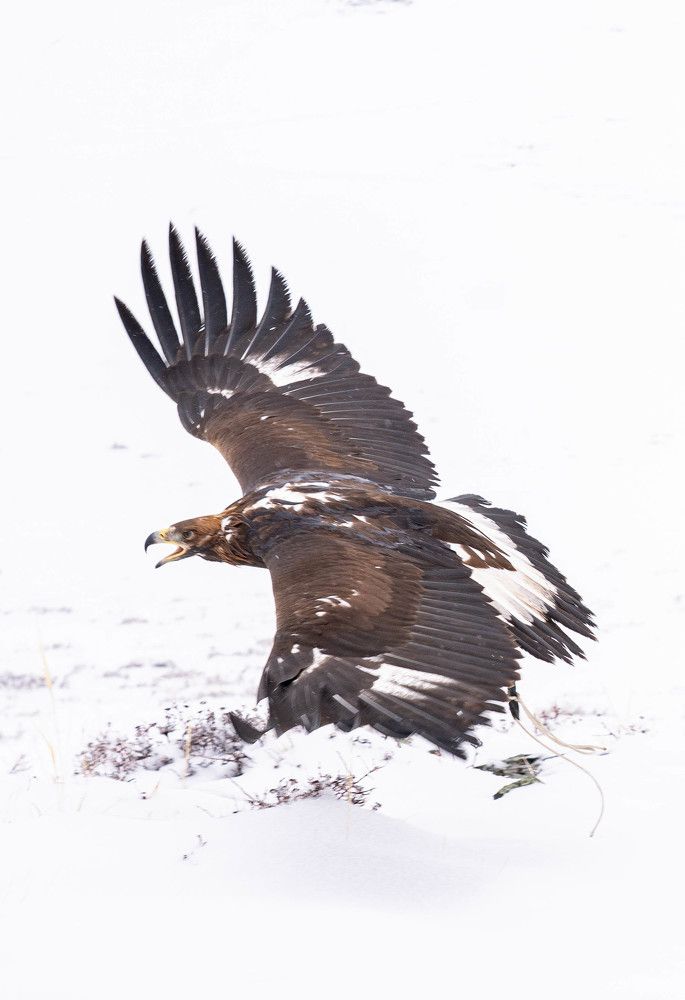 Photograph by Кожиков Данияр