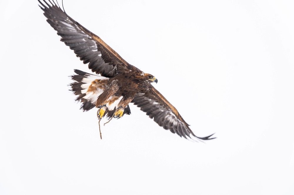 Photograph by Кожиков Данияр