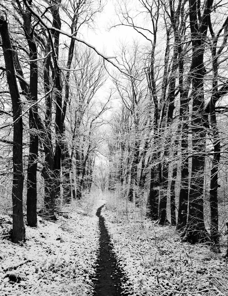 Черно-белая зима