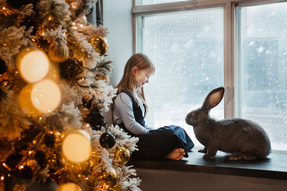 Photograph by Елена Тульчинская