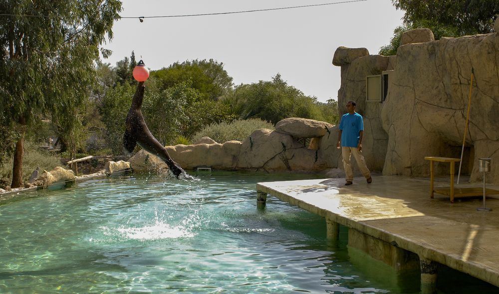 Photograph by Андрей Букин