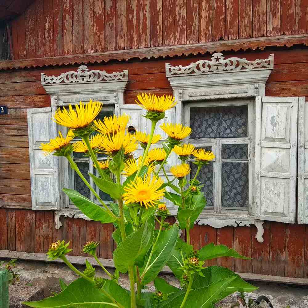 Фотография автора Галина Бобкина