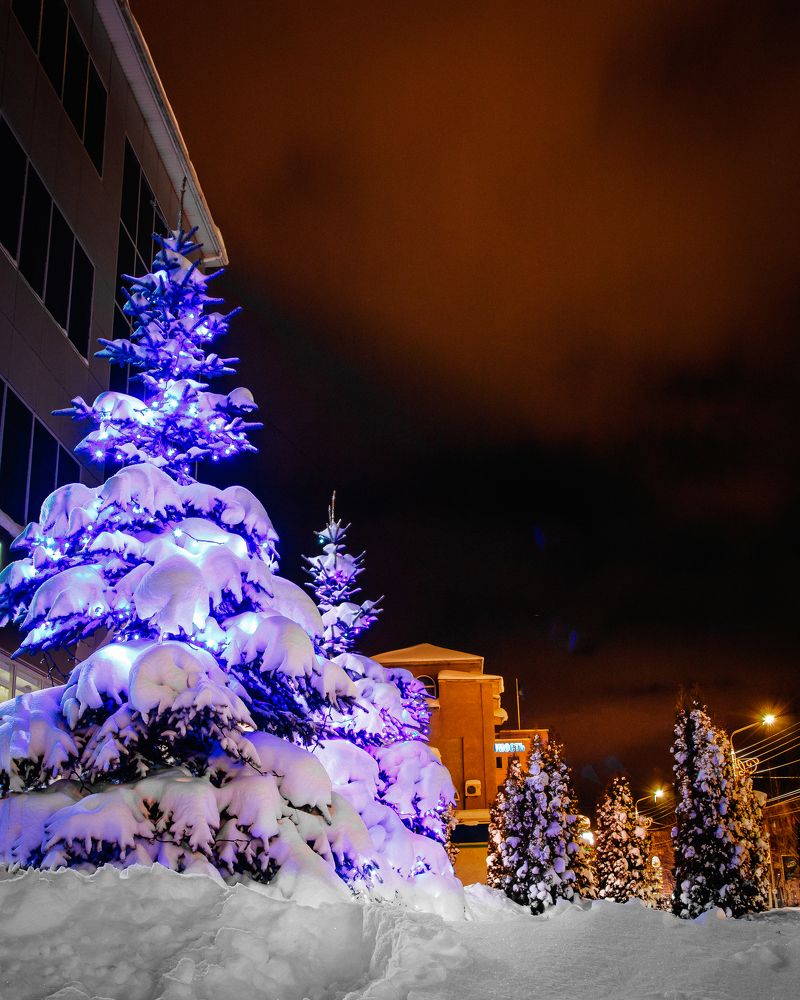 Photograph by Василий Лазарев