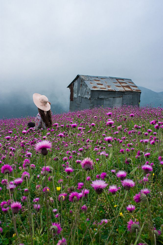 Photograph by Reza Jafari