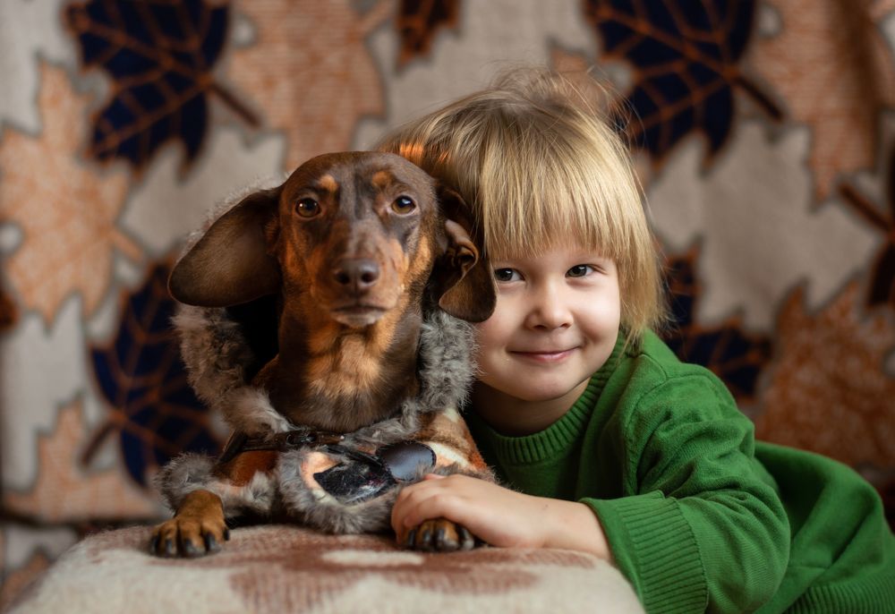 Photograph by Елена Плотникова