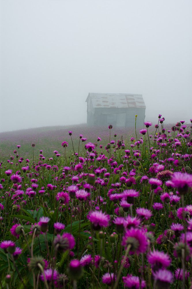 Photograph by Reza Jafari