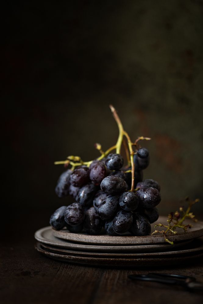 Photograph by Elnora Atnagulova