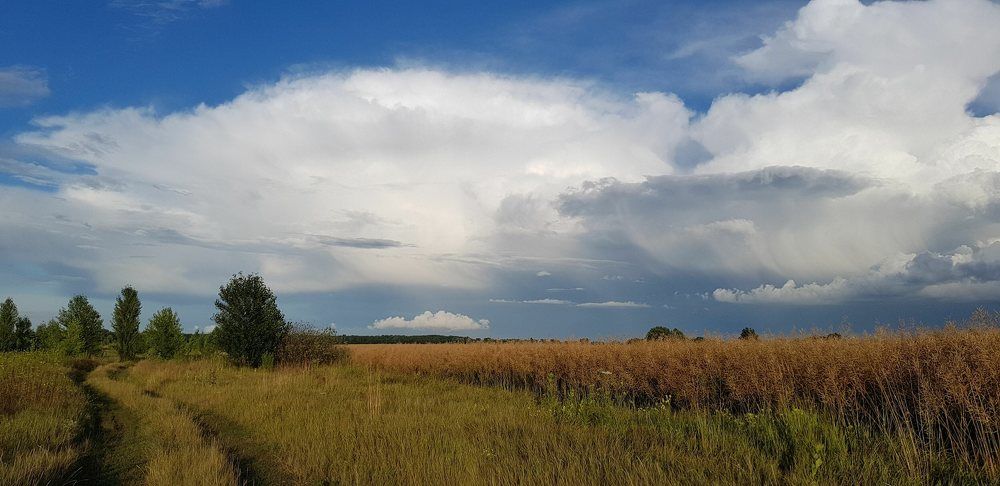 Photograph by Volkova Nataliia