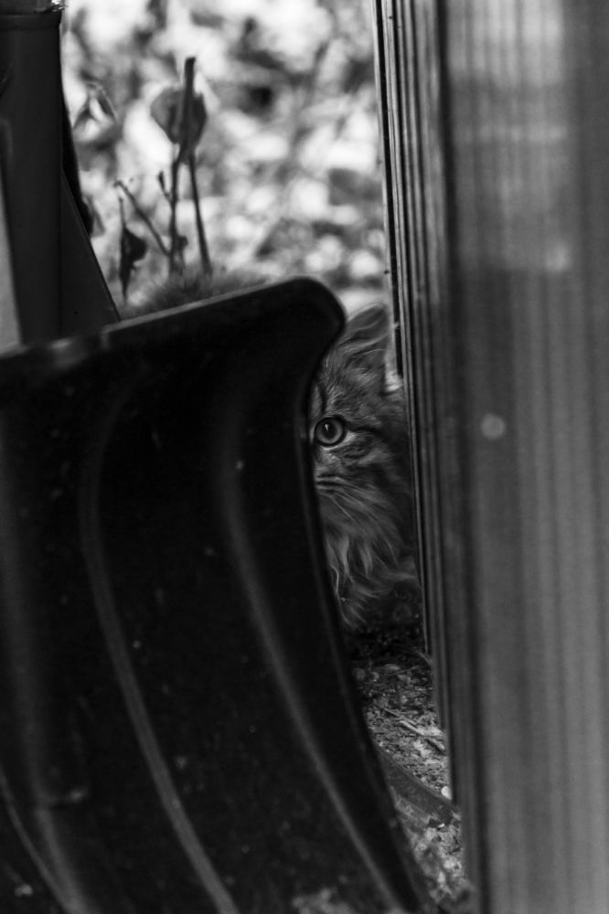 Photograph by Крючкова Ольга