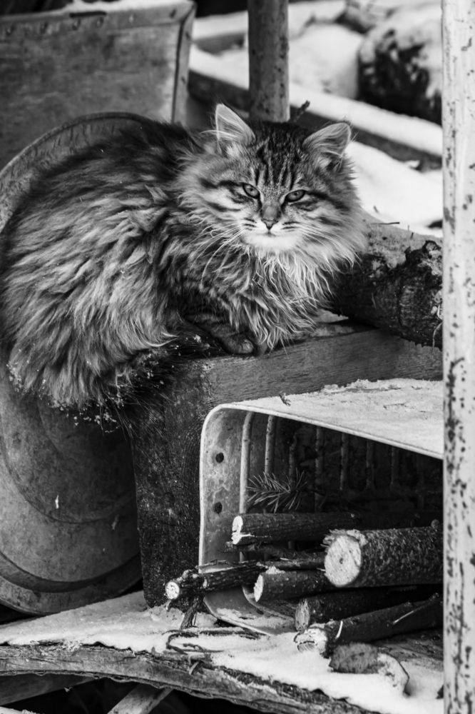 Photograph by Крючкова Ольга