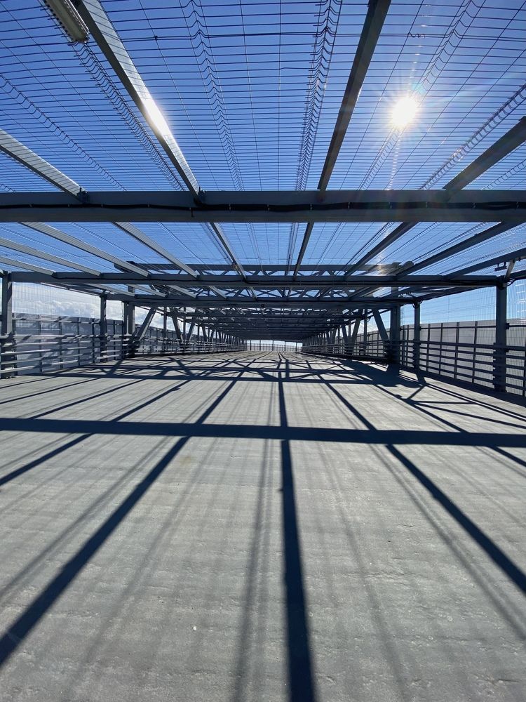 Photograph by Алиса Лукина