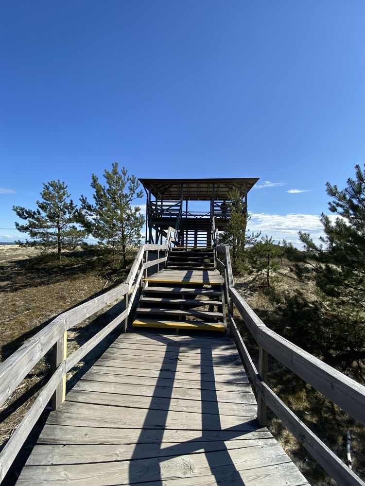 Photograph by Алиса Лукина