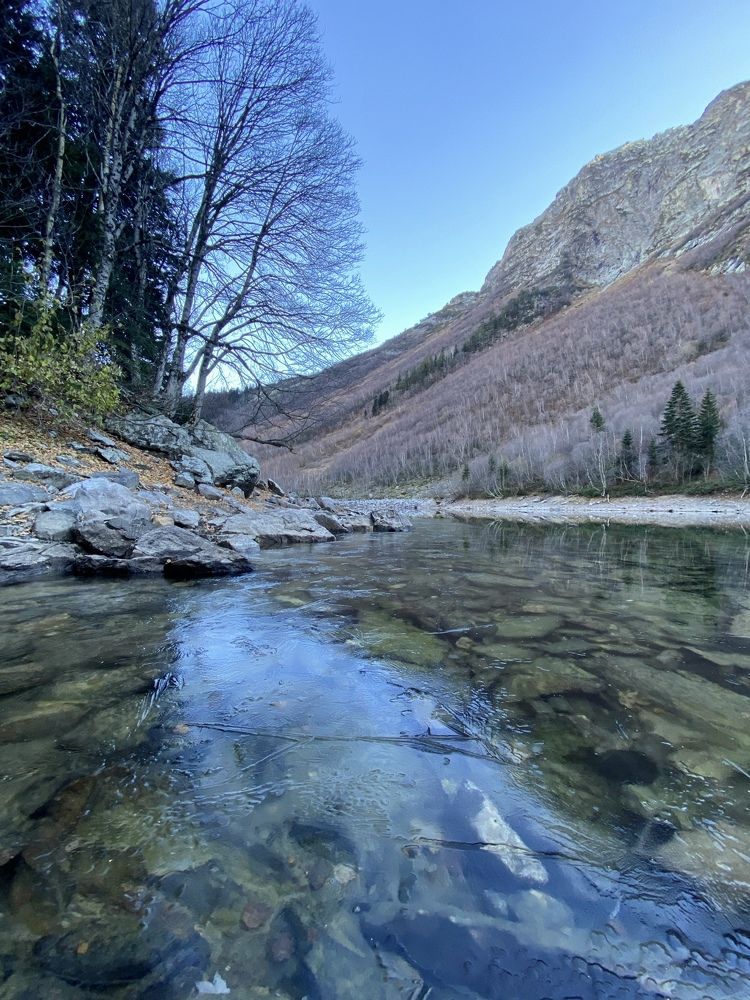 Photograph by Алиса Лукина