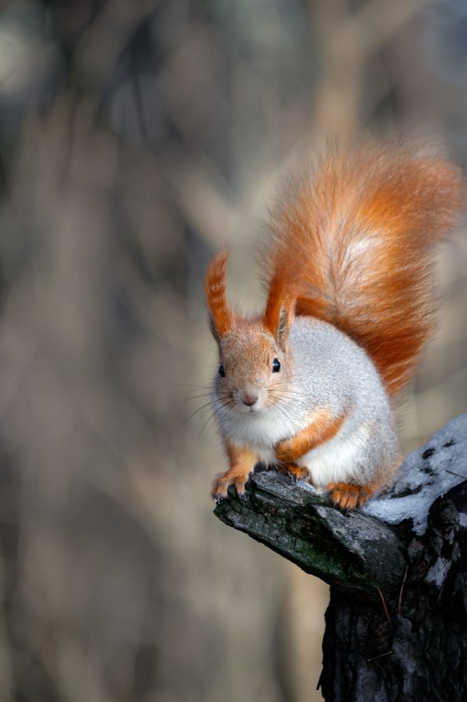 Photograph by Дмитрий Тимин