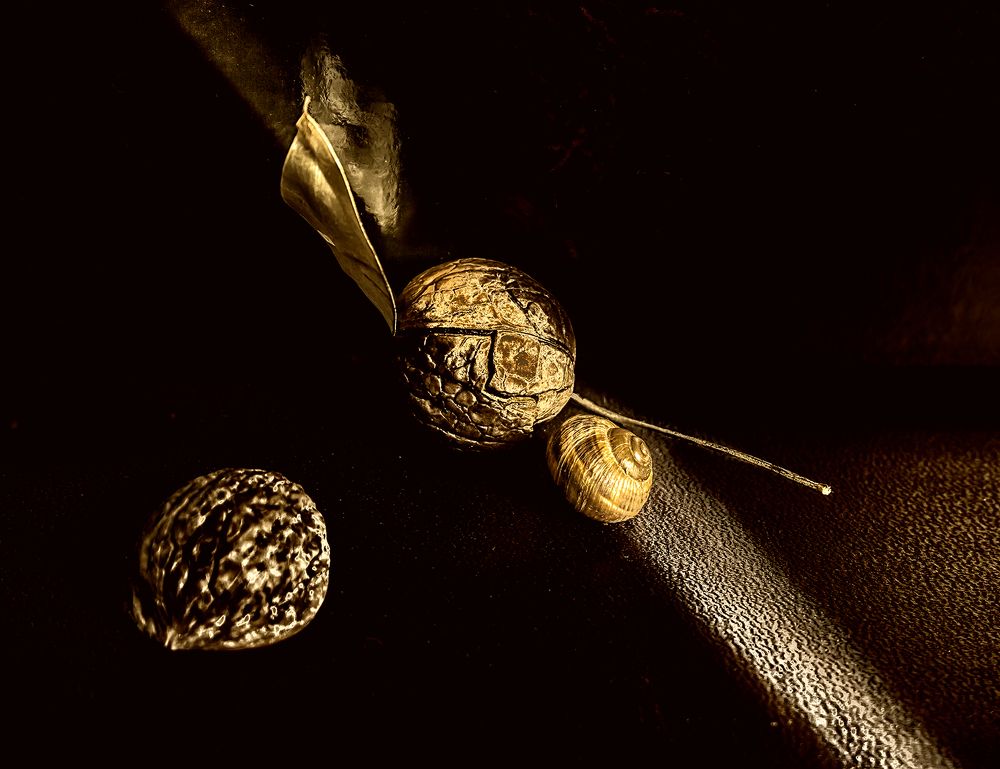 Фотография автора Milena Ivanova