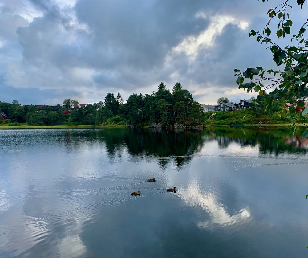 Photograph by Irina Andrienko