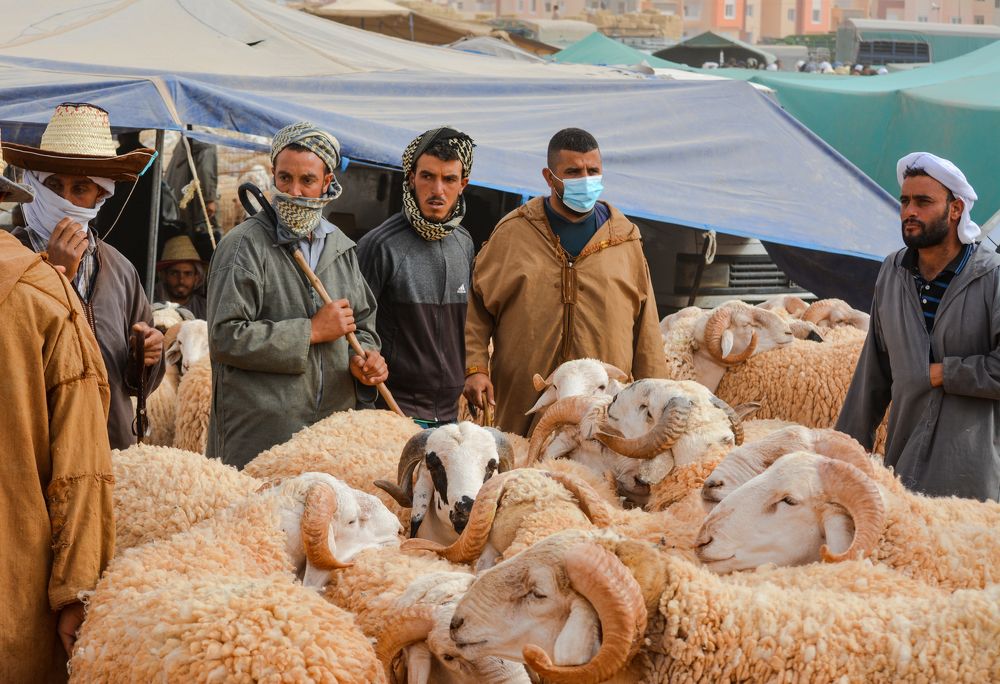 Photograph by Bachir Rabouh