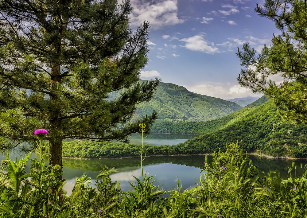 Фотография автора Milena Ivanova