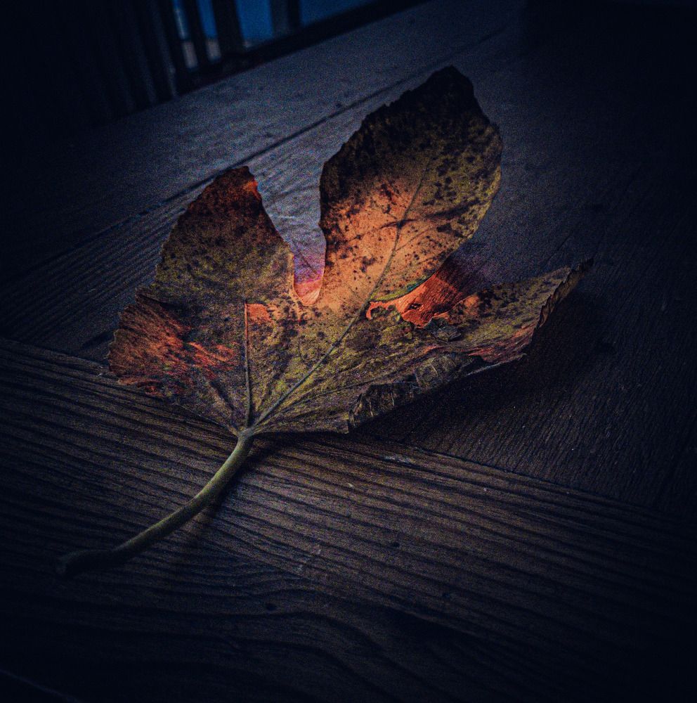 Photograph by אסף אברס