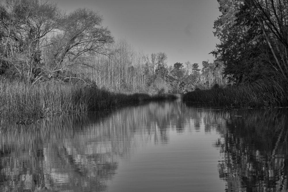 Photograph by ricardo jacoby