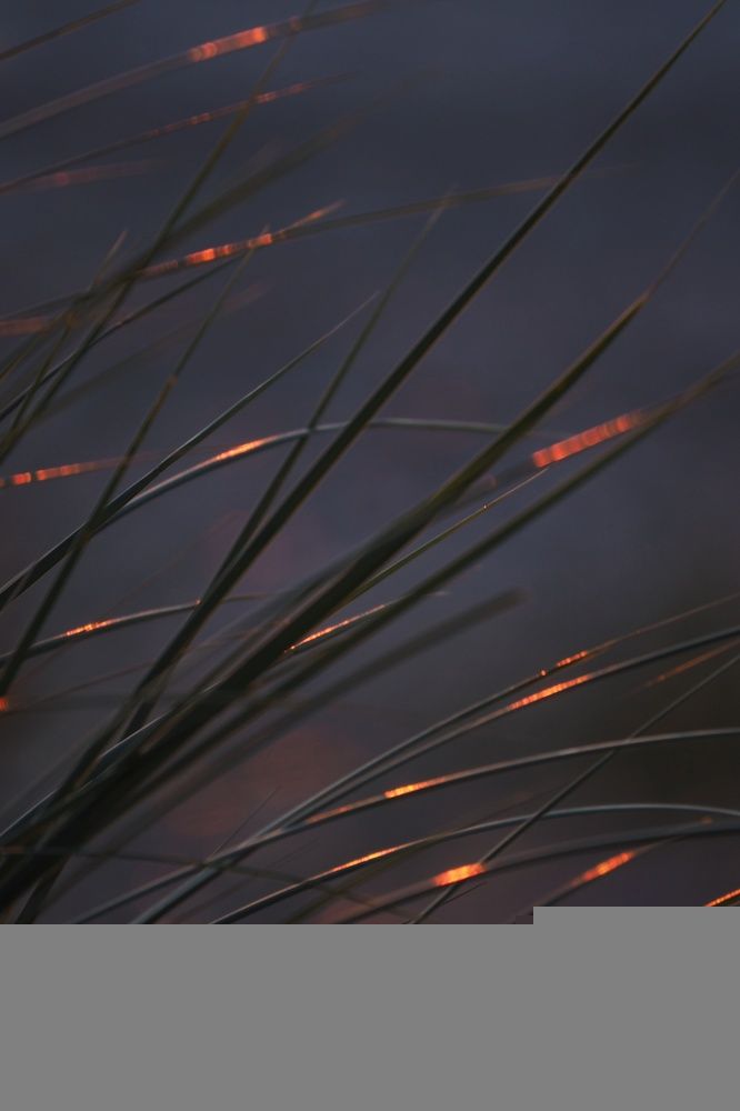 Photograph by Анастасия Кочетова