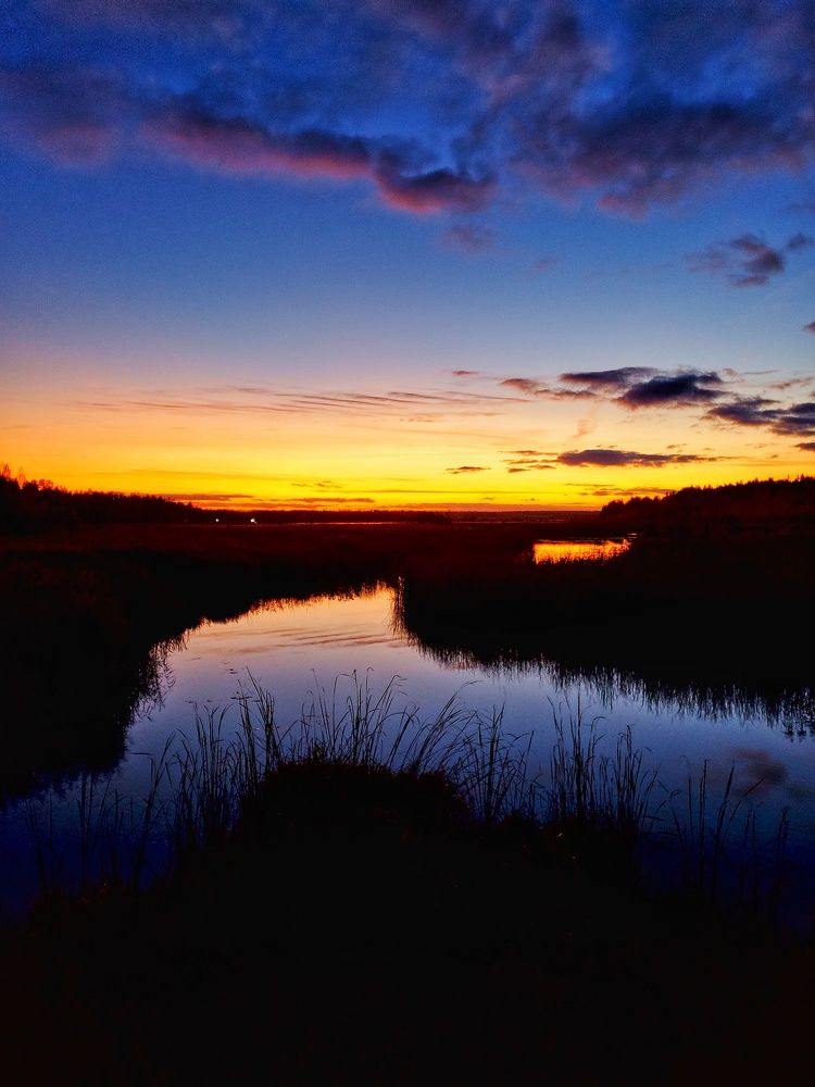 Photograph by Наталья Светлова