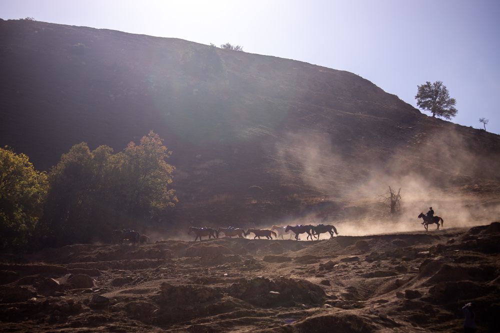 Photograph by Екатерина Долгова