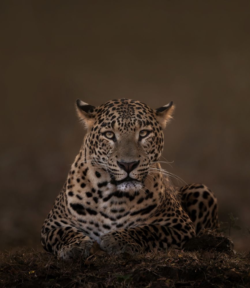 Photograph by Subramanyam Pratapa